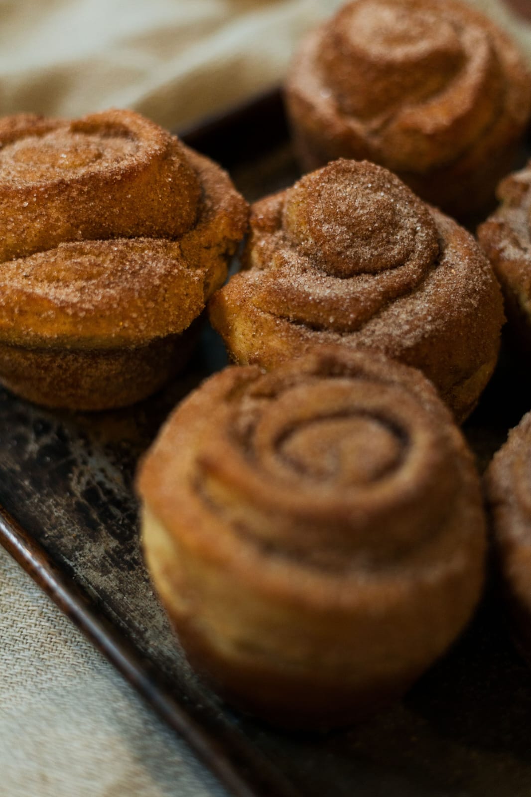 6 x Cinnamon Bun