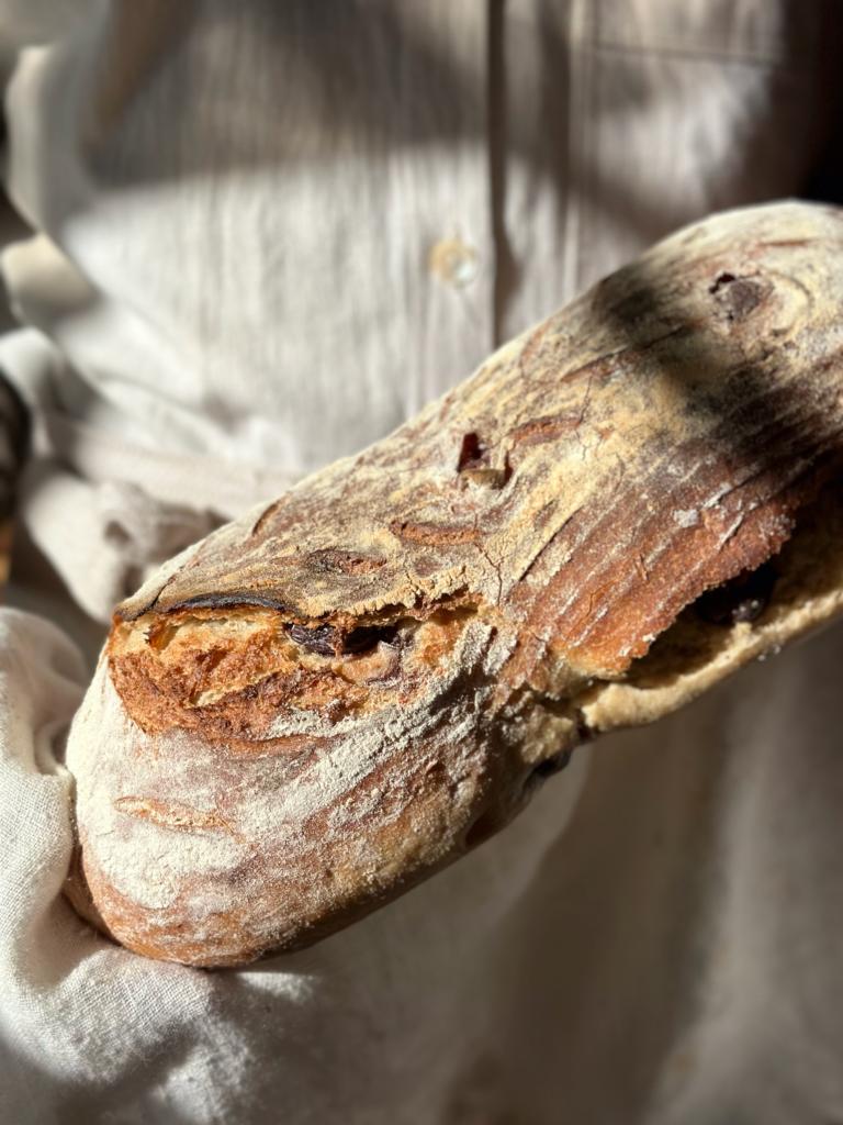 Olive Ciabatta
