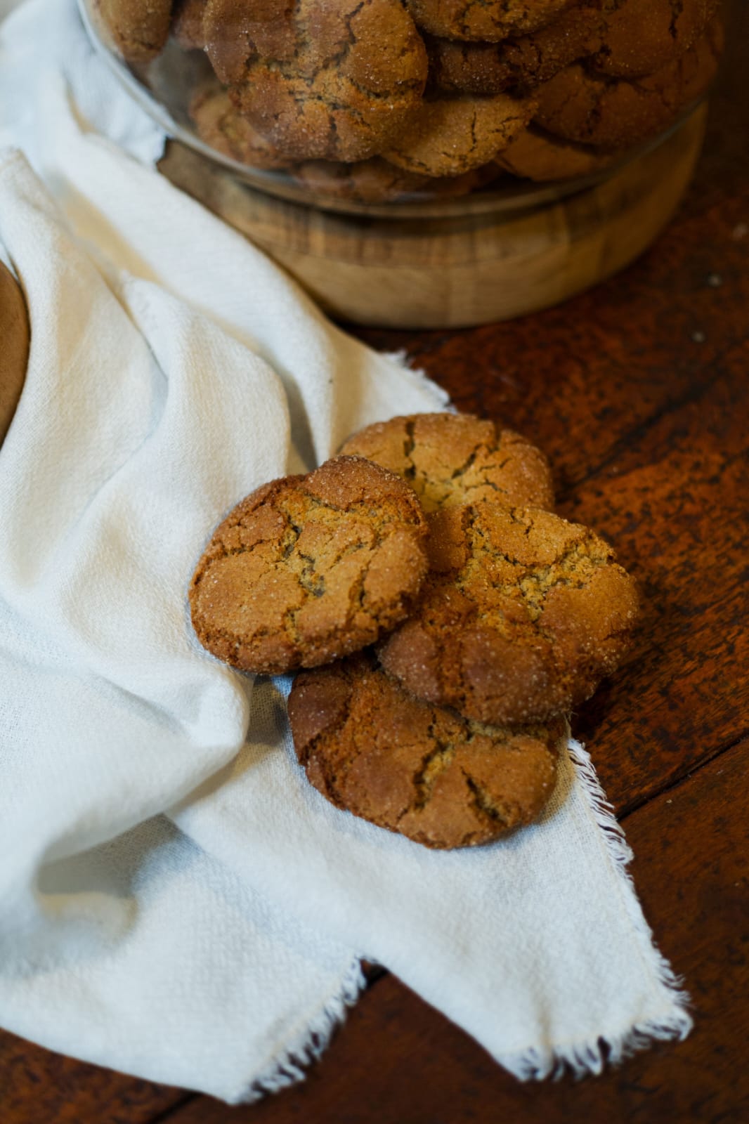 10 x Ginger Cookie